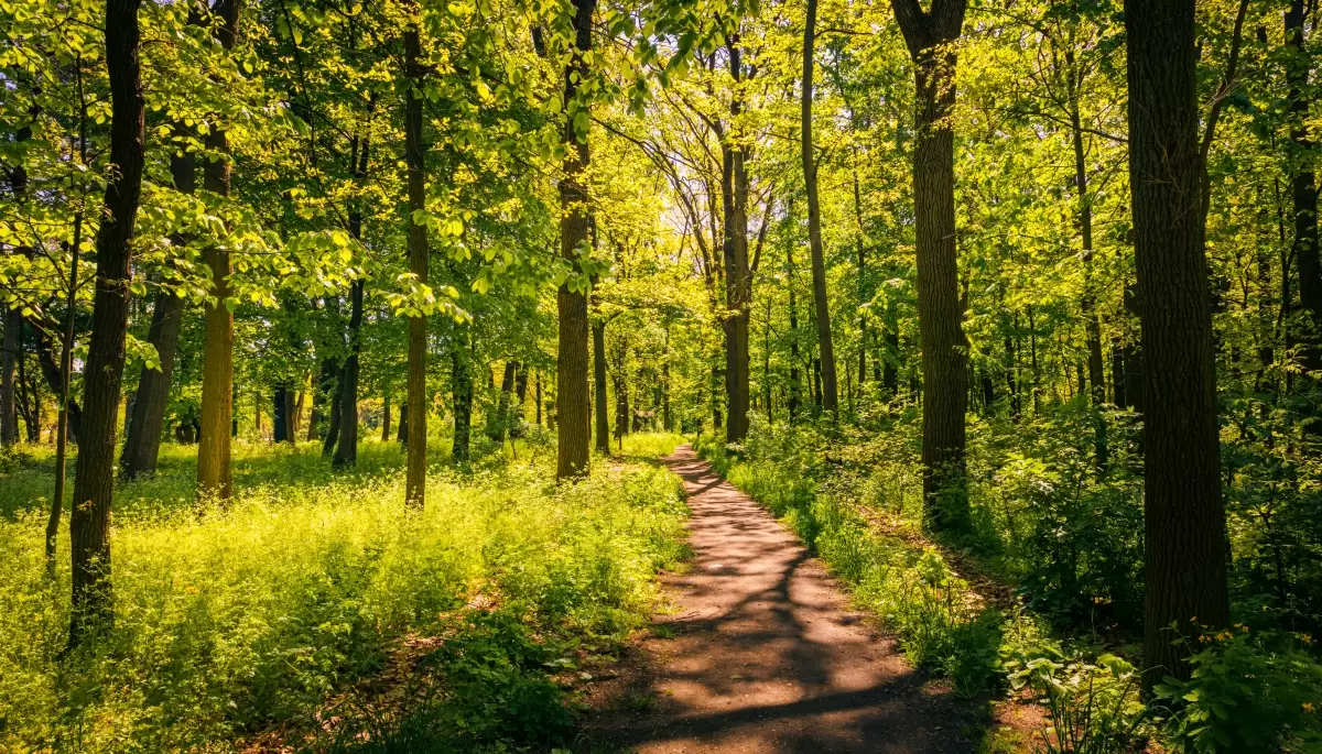 Locación de Parque Pereyra